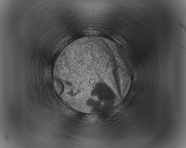 X0000100500377200807031946