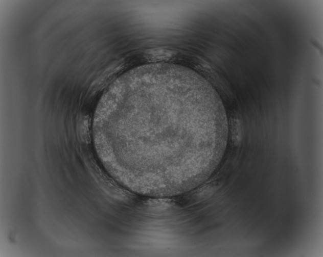 X0000100500378200807031946