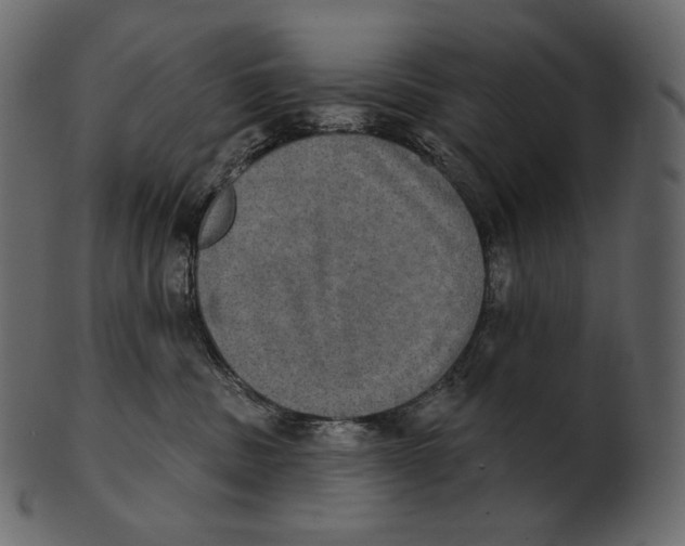 X0000100500379200807031946