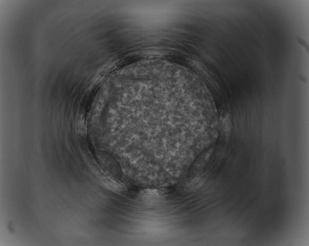 X0000100500381200807031946