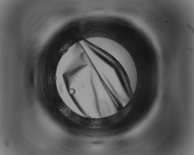 X0000100500382200807031946