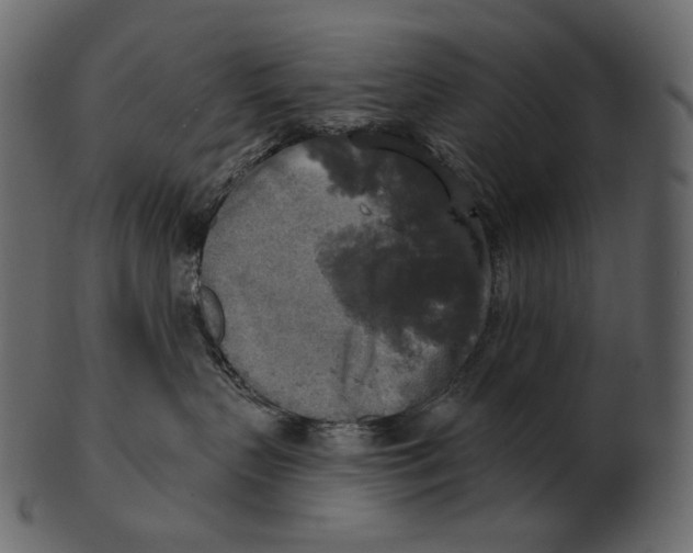 X0000100500383200807031946