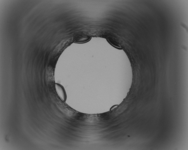 X0000100500384200807031946