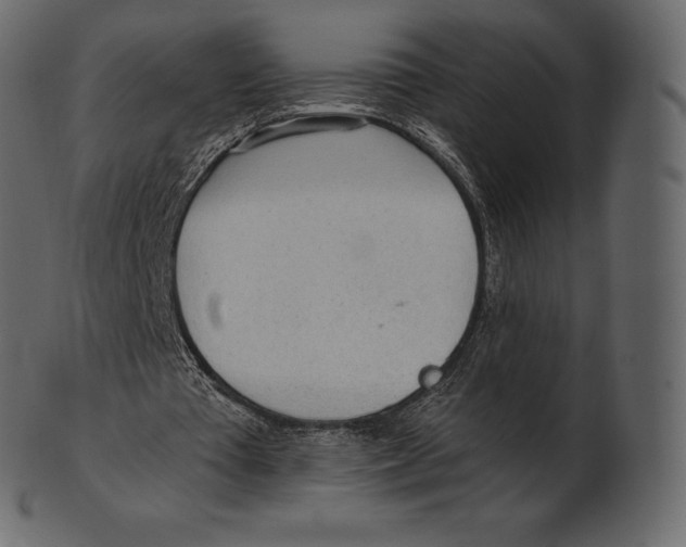 X0000100500385200807031946