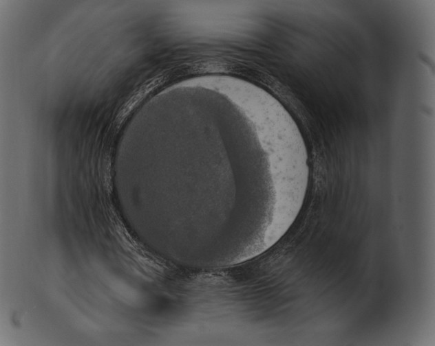 X0000100500386200807031946