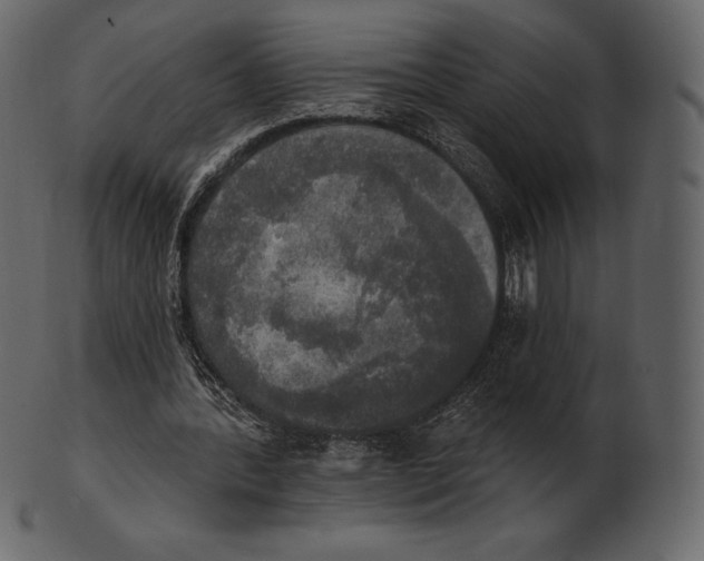 X0000100500388200807031946