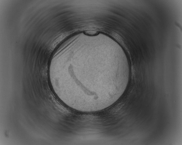 X0000100500389200807031946