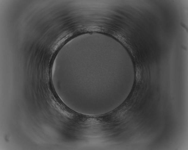 X0000100500390200807031946