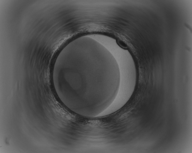 X0000100500391200807031946