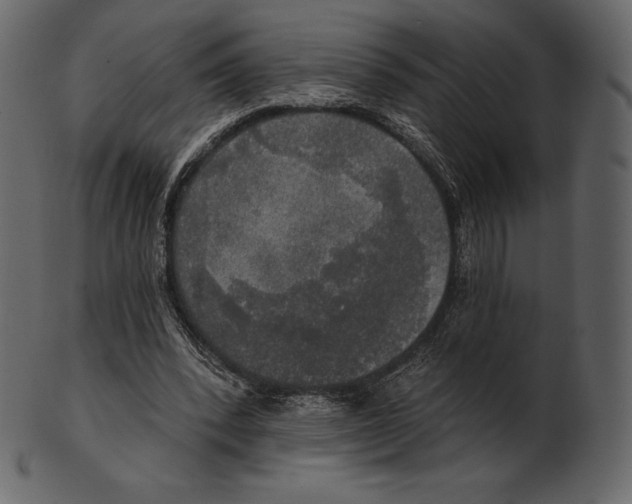 X0000100500392200807031946