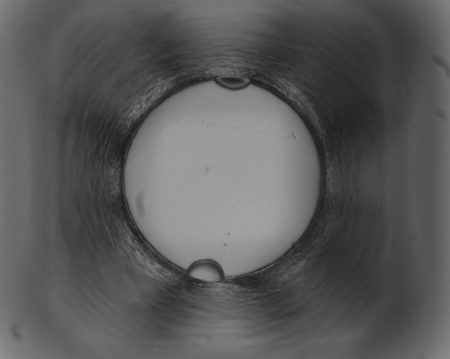 X0000100500393200807031946