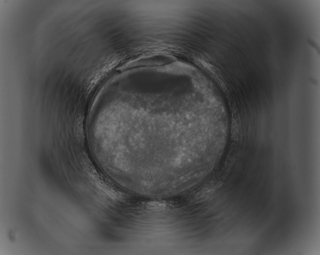 X0000100500394200807031946