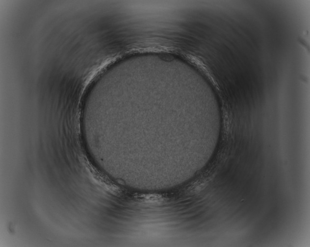 X0000100500395200807031946