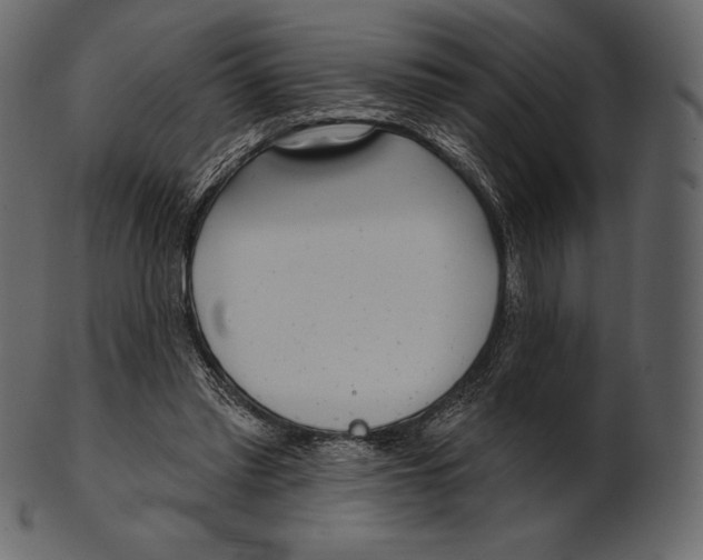 X0000100500397200807031946