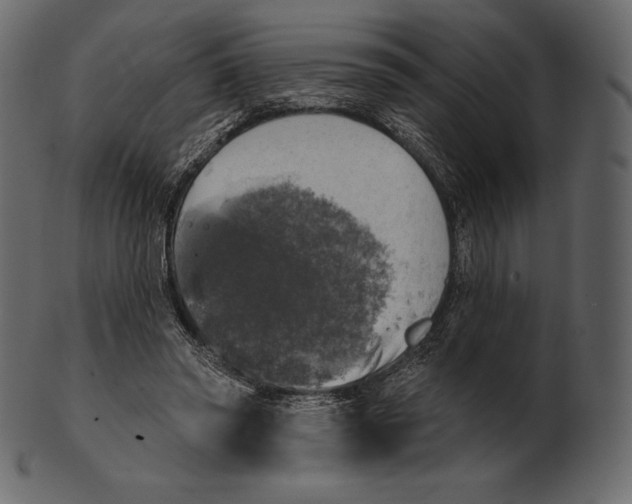 X0000100500398200807031946