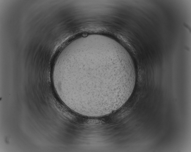 X0000100500399200807031946