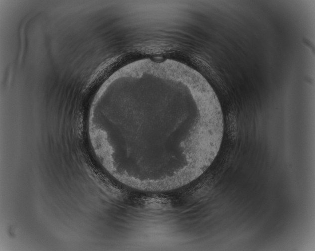 X0000100500400200807031946