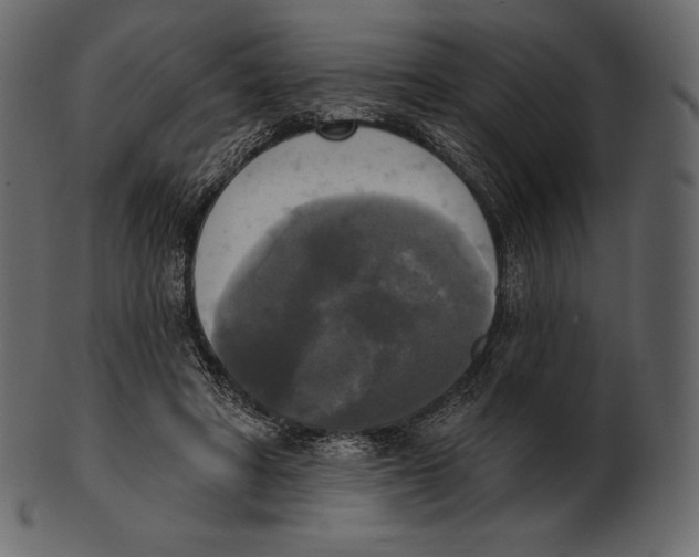 X0000100500402200807031945