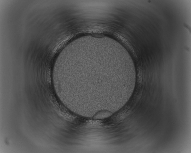 X0000100500403200807031945