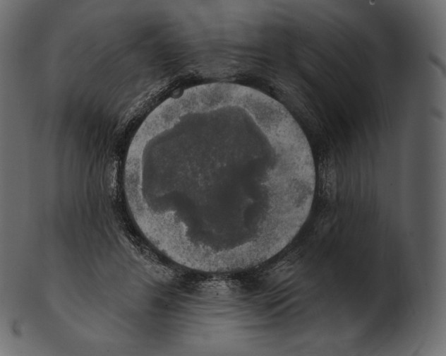 X0000100500404200807031945