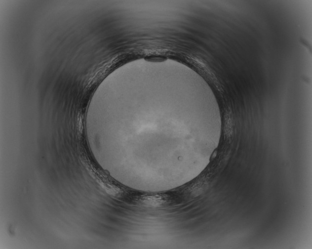 X0000100500405200807031945