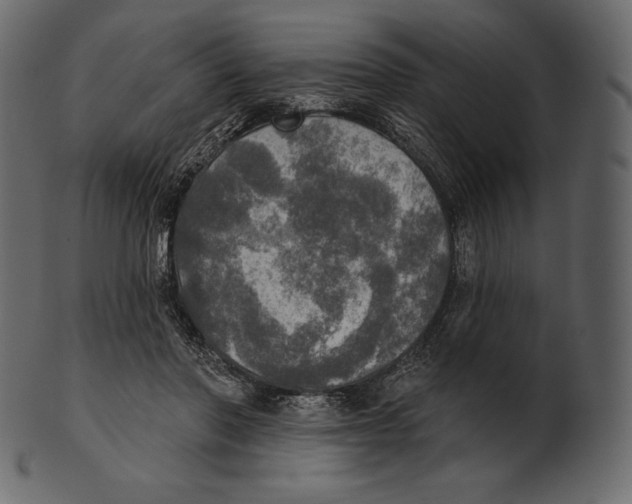 X0000100500406200807031945