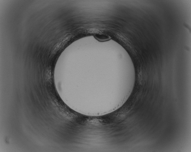 X0000100500407200807031945