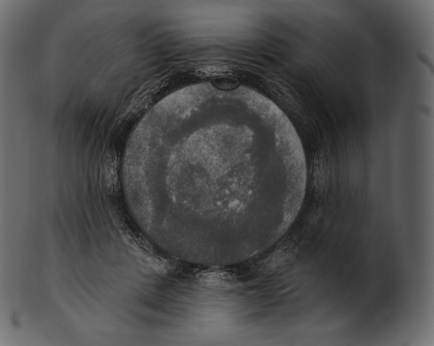 X0000100500408200807031945