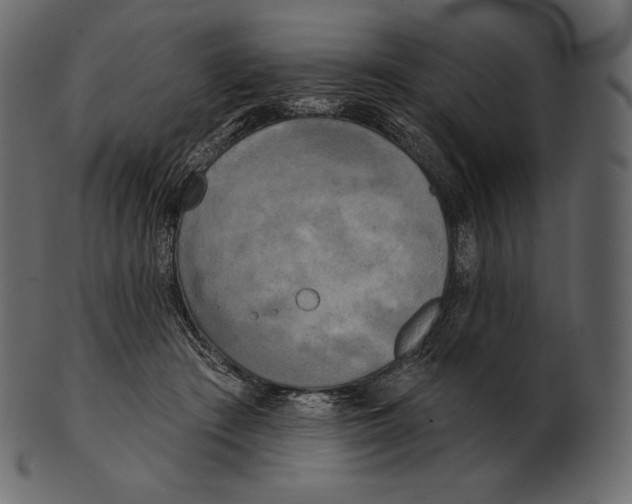 X0000100500409200807031945