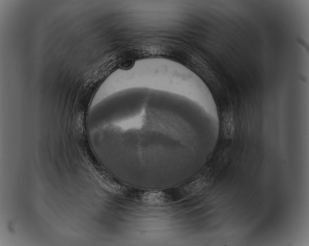 X0000100500410200807031945