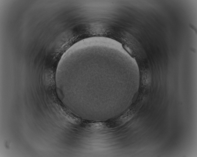 X0000100500411200807031945