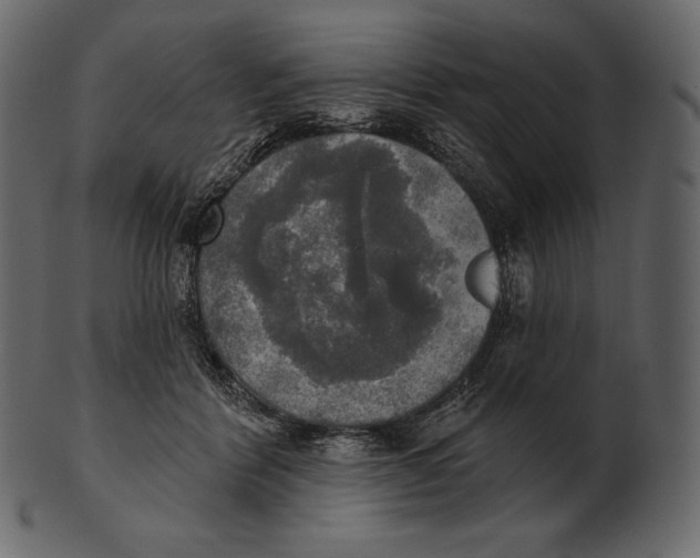 X0000100500412200807031945