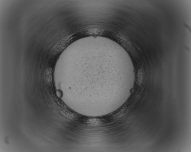 X0000100500413200807031945