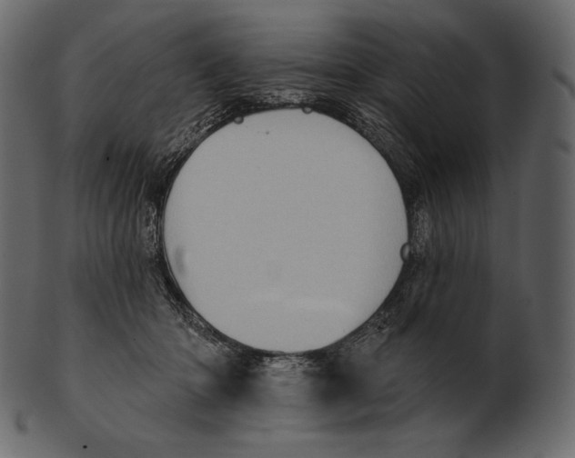 X0000100500414200807031945