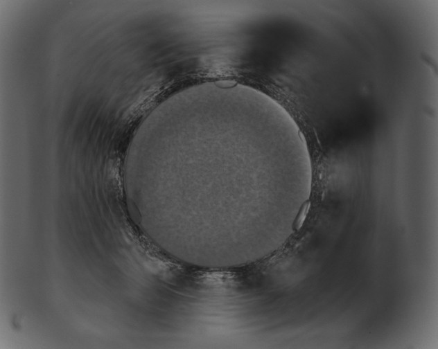 X0000100500415200807031945