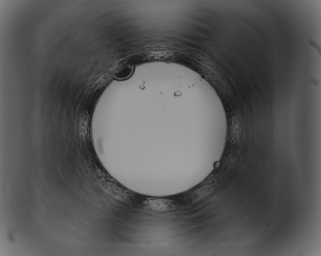 X0000100500417200807031945