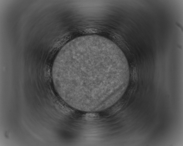 X0000100500418200807031945