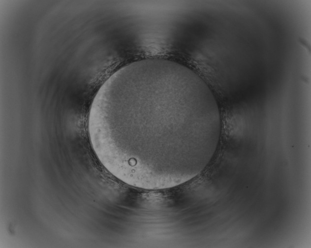 X0000100500419200807031945