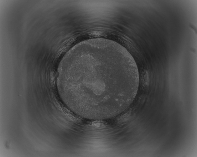 X0000100500420200807031945