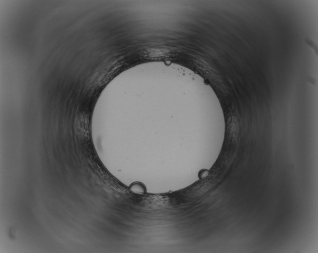 X0000100500421200807031945