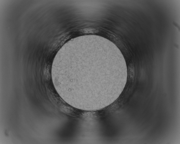 X0000100500422200807031945