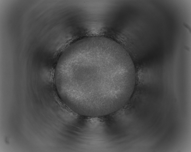 X0000100500423200807031945