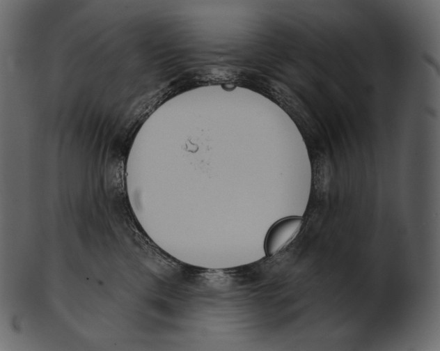 X0000100500425200807031945