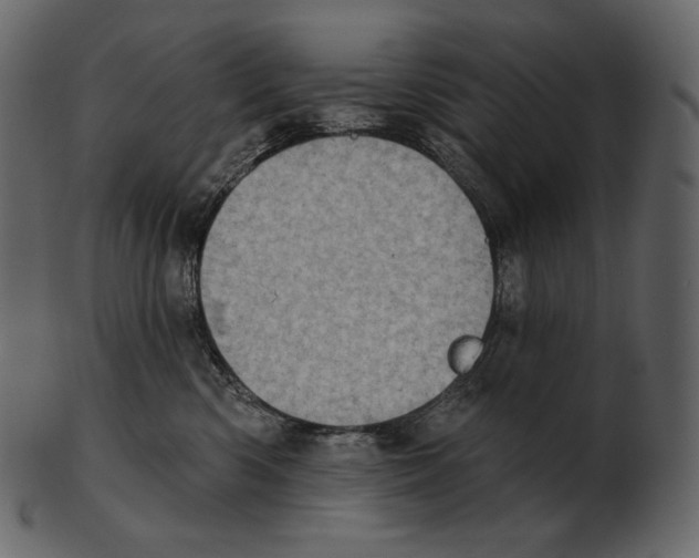 X0000100500426200807031945