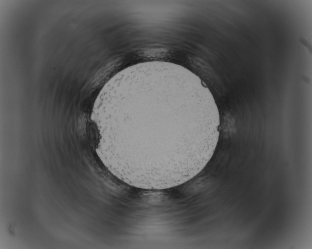 X0000100500428200807031945