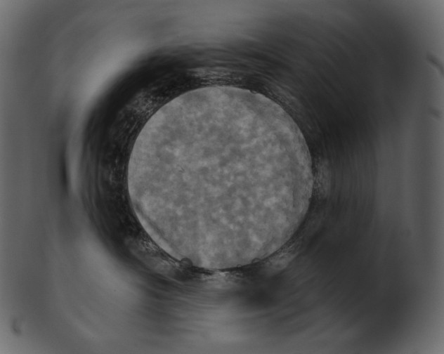 X0000100500430200807031945