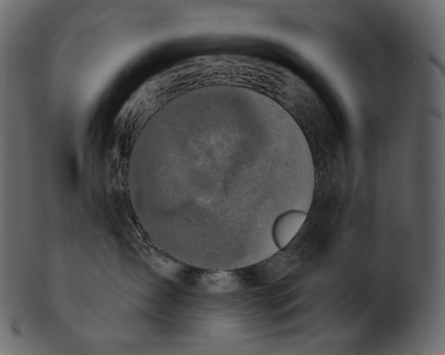 X0000100500431200807031945