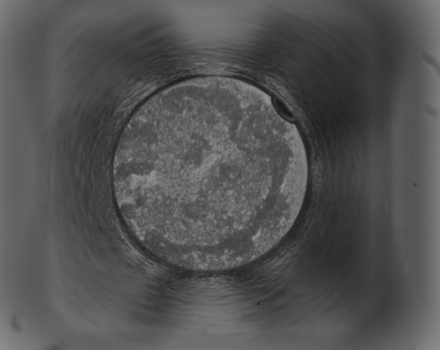 X0000100500433200807031944