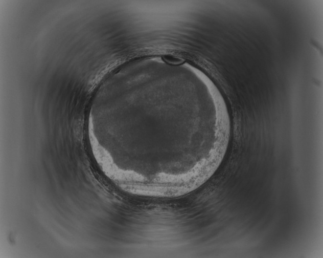 X0000100500434200807031944