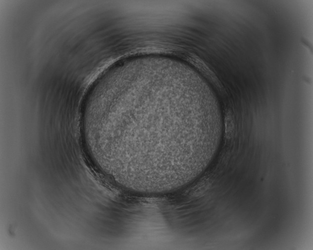 X0000100500436200807031944